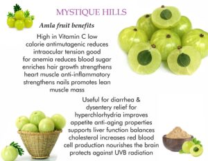 Indian Gooseberry uses and benefits