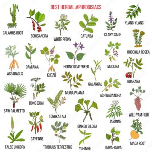 Aphrodisiacs uses and benefits