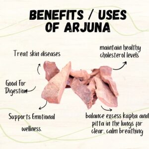 Arjuna bark uses and benefits
