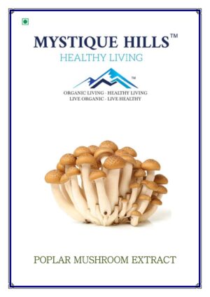 Mystique Agrocybe cylindracea Mushroom powder 50 g