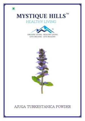 Mystique Ajuga turkestanica powder 50 g, Bugleweed powder