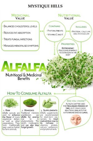 Medicago sativa uses and benefits