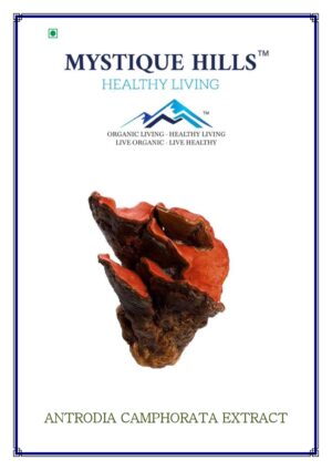 Mystique Antrodia camphorata extract 50 g