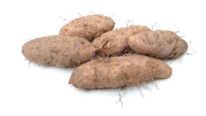 Dioscorea esculenta uses and benefits