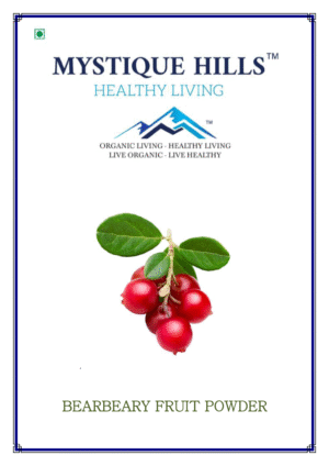 Mystique Bearberry fruit powder 50 g