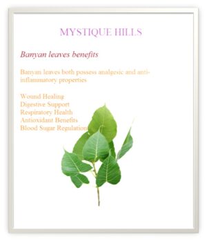 Banyan leaves uses and benefits