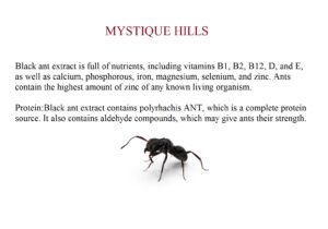 Black Ant Extract uses and benefits