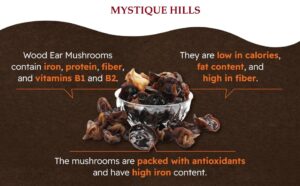 Auricularia polytricha ,Wood ear mushroom uses and benefits