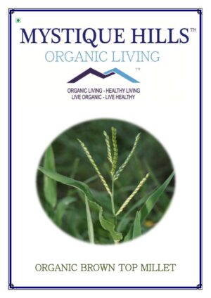 Mystique Brown Top Millet 5 Kg