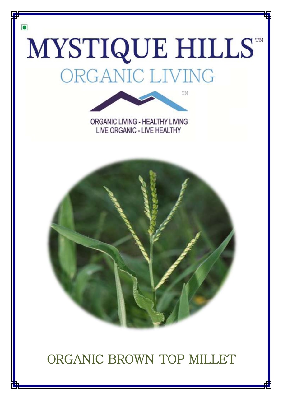 Mystique Brown Top Millet 5 Kg