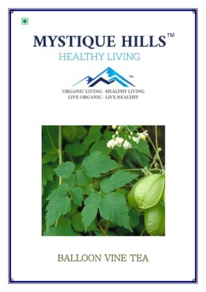 Mystique Balloon vine powder 100 g