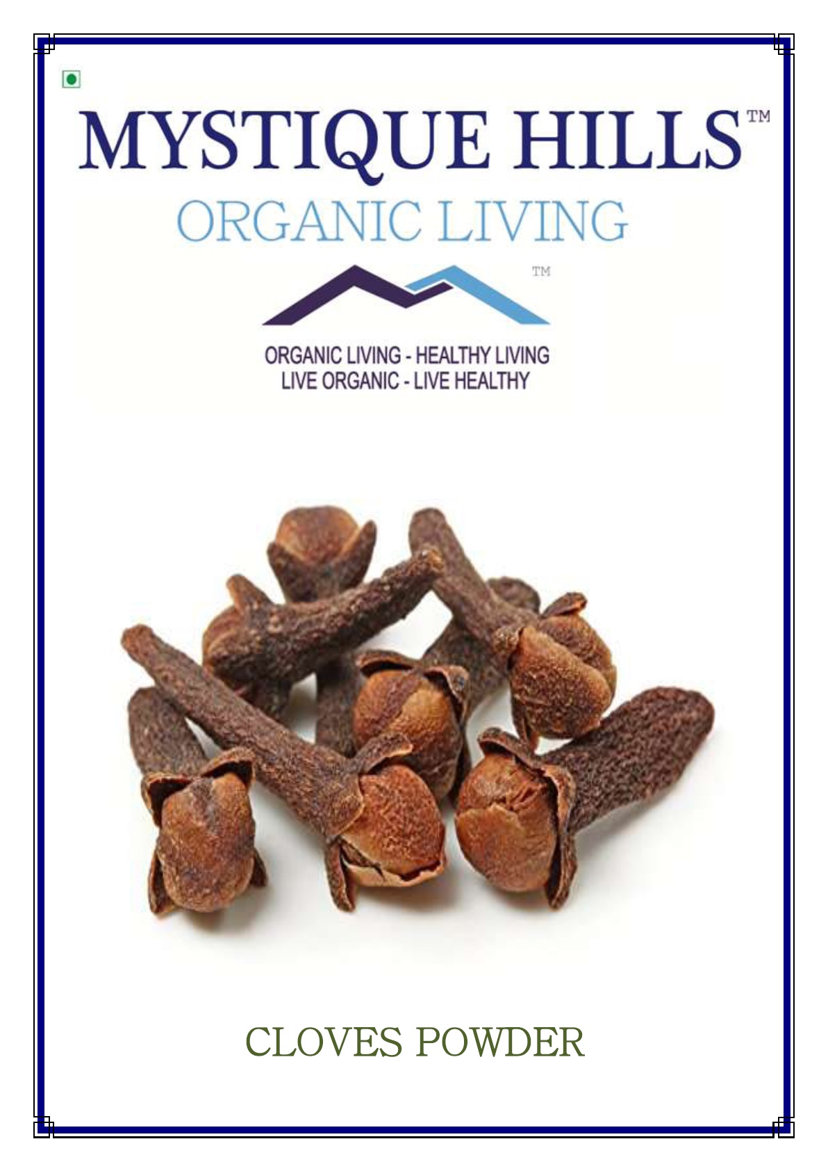 Mystique Clove Powder 100 g