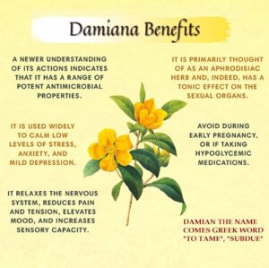 Damiana leaves uses and benefits