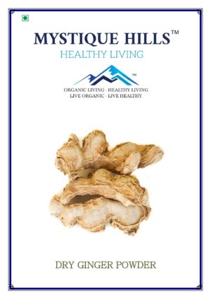 Mystique Dry ginger powder 100 g
