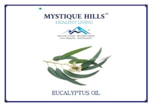 Mystique Nilgiris oil 200 ml