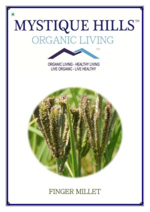 Organic Finger Millet ( Ragi ) 1 Kg