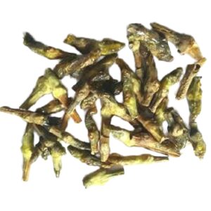 Gardenia resinifera Roth resin uses and benefits