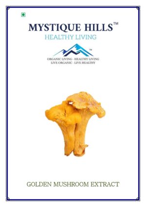 Mystique Golden mushroom extract 50 g