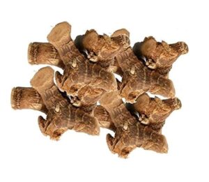 Alpinia galanga uses and benefits