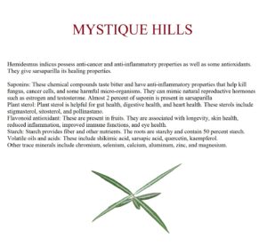 Indian sarsaparilla uses and benefits