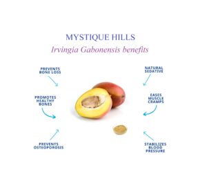 Irvingia gabonensis seed uses and benefits