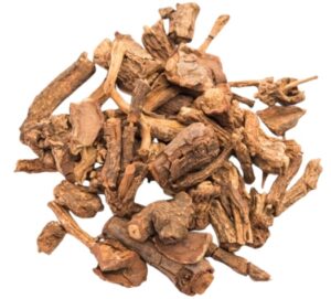 True sarsaparilla (Jamaican sarsaparilla) uses and benefits