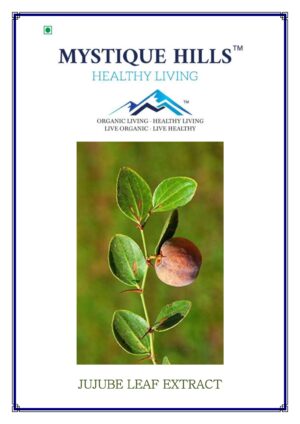 Mystique Jujube leaf extract 50 g