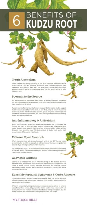 Pueraria lobata root (Thai kudzu) uses and benefits