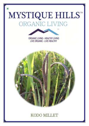 Organic Kodo Millet ( Varagu ) 1 Kg