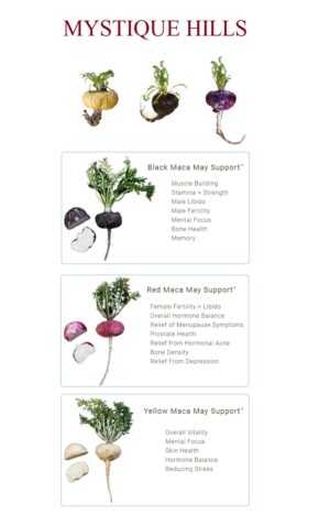 Yellow maca root uses and benefits