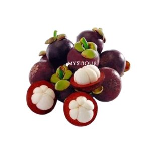 Garcinia mangostana uses and benefits