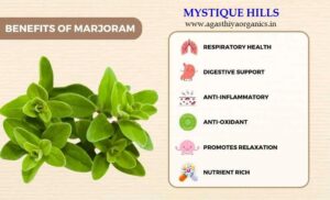 Marjoram uses and benefits