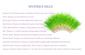 Oat Grass uses and benefits