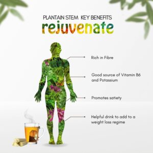 Musa × paradisiaca uses and benefits