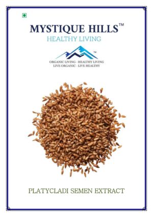 Mystique Platycladi semen extract 50 g