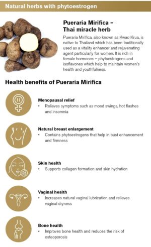 Pueraria mirifica root,Kwao Krua uses and benefits