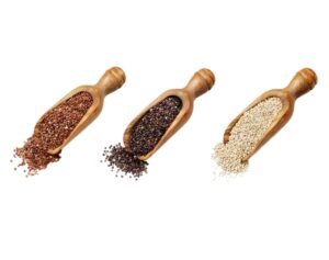 Chenopodium quinoa uses and benefits