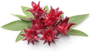 Hibiscus sabdariffa uses and benefits