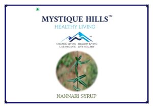 Mystique Indian sarsaparilla syrup (Anantmool ) 200 ml