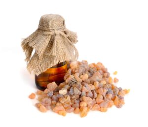 Boswellia thurifera Roxb uses and benefits