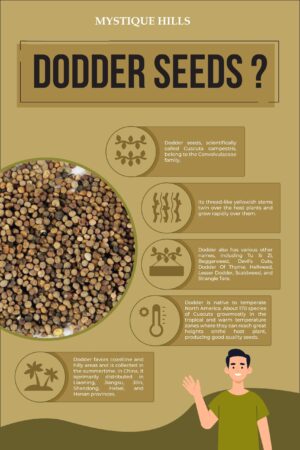 Semen cuscutae,Dodder seed uses and benefits