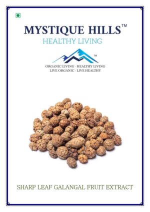 Mystique Sharp leaf galangal fruit extract 50 g