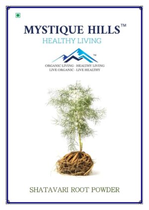 Mystique Shatavari root powder 100 g