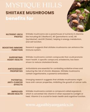 Shiitake Mushroom ,Lentinula edodes uses and benefits