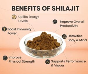 Himalayan shilajit powder, Mountain gum uses and benefits