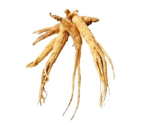 Hebanthe eriantha uses and benefits