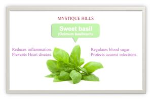Mystique Sweet Basil uses and benefits
