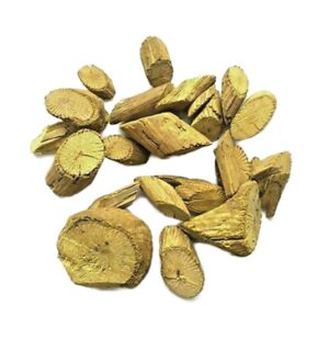 Coscinium fenestratum uses and benefits