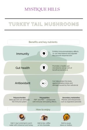 Turkey tail mushroom uses and benefits