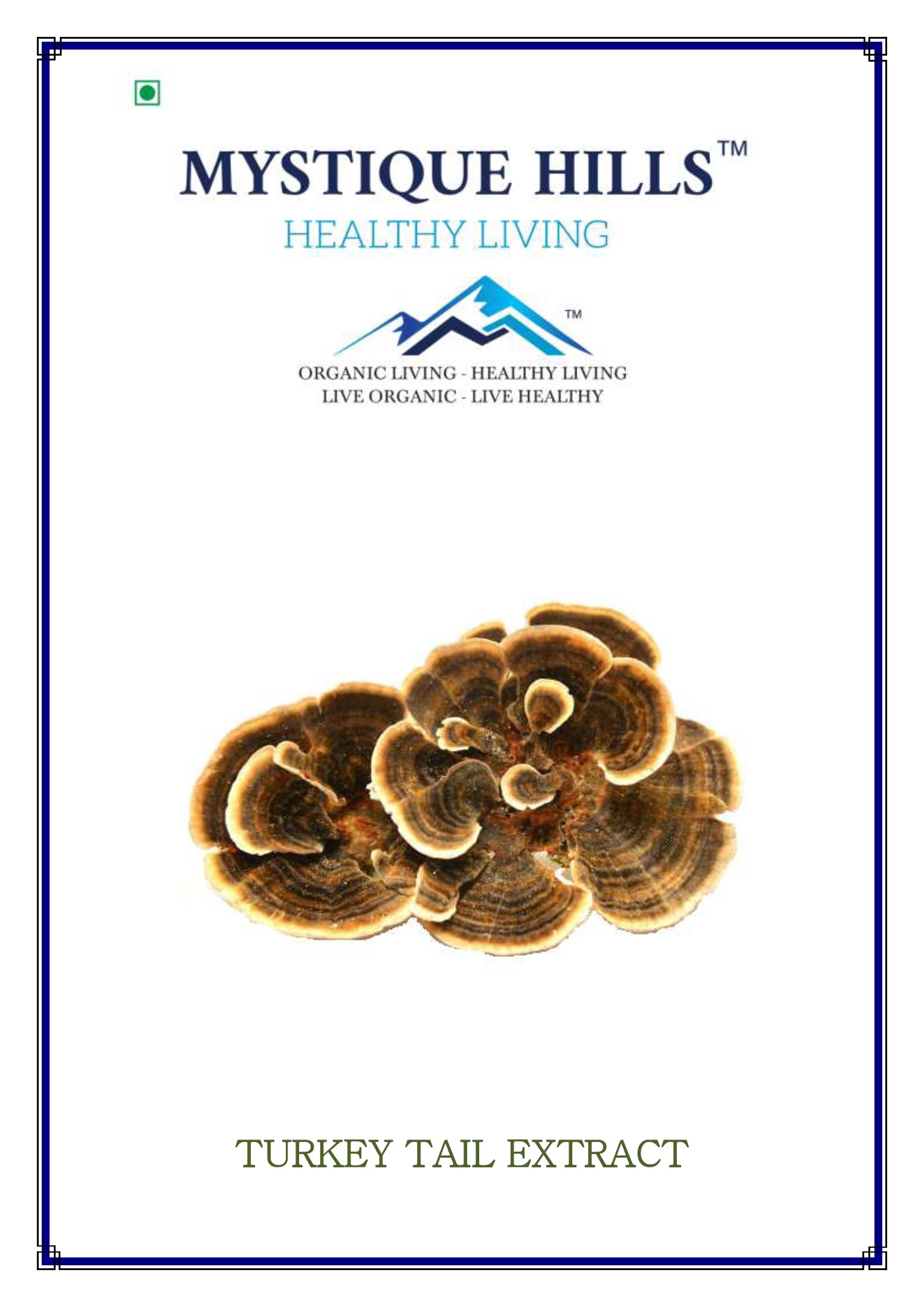 Mystique Turkey tail mushroom extract 50 g